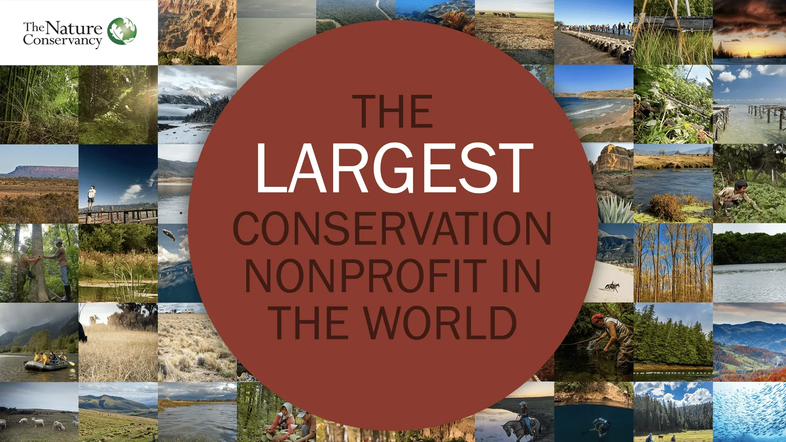 The Nature Conservancy