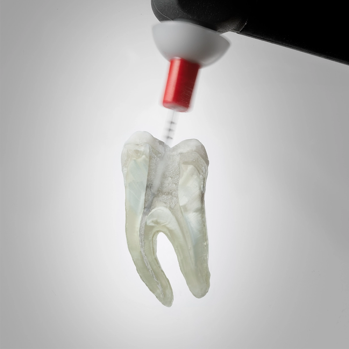 Dentsply Sirona